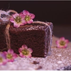 Curso de Brownies Lucrativos